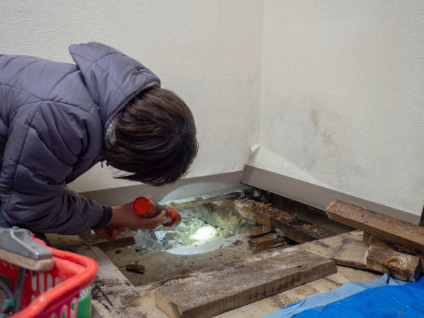 Best Mold Documentation for Insurance Claims  in Sunnyside, GA
