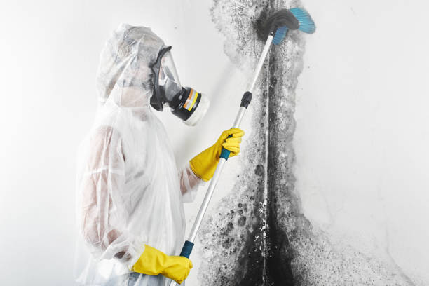 Best Indoor Air Quality Assessment  in Sunnyside, GA