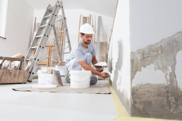 Best Basement Mold Removal  in Sunnyside, GA