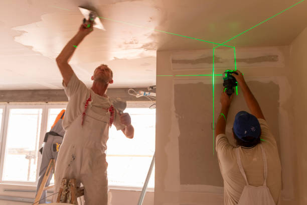 Best Black Mold Removal  in Sunnyside, GA