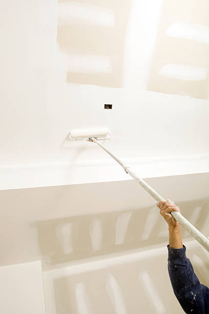 Best Mold Damage Restoration  in Sunnyside, GA
