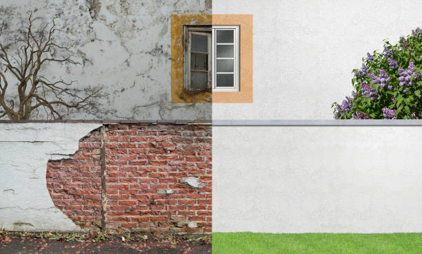 Best Attic Mold Removal  in Sunnyside, GA