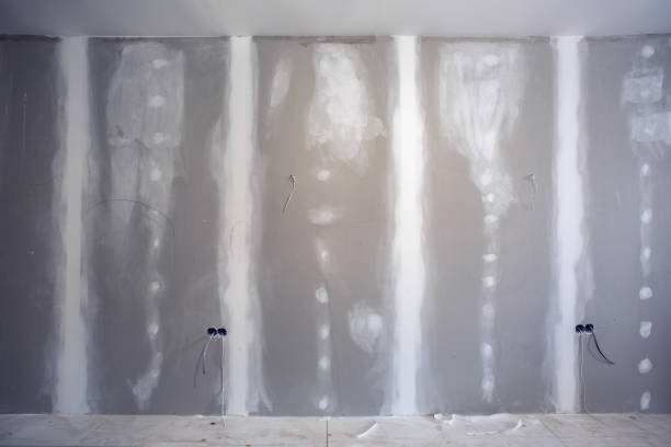 Best Mold Prevention Services  in Sunnyside, GA
